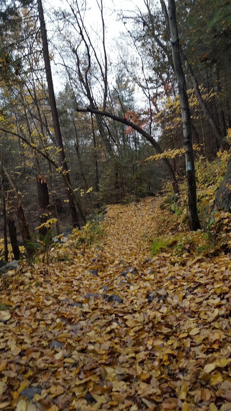 Blue Stone Quarry - Waterbury, CT