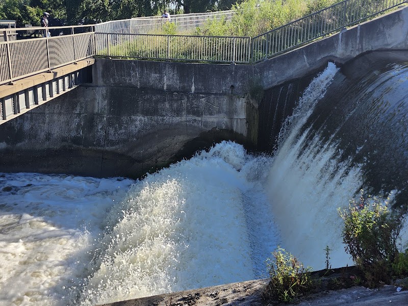 Bunker Hill Park - Waterbury, CT