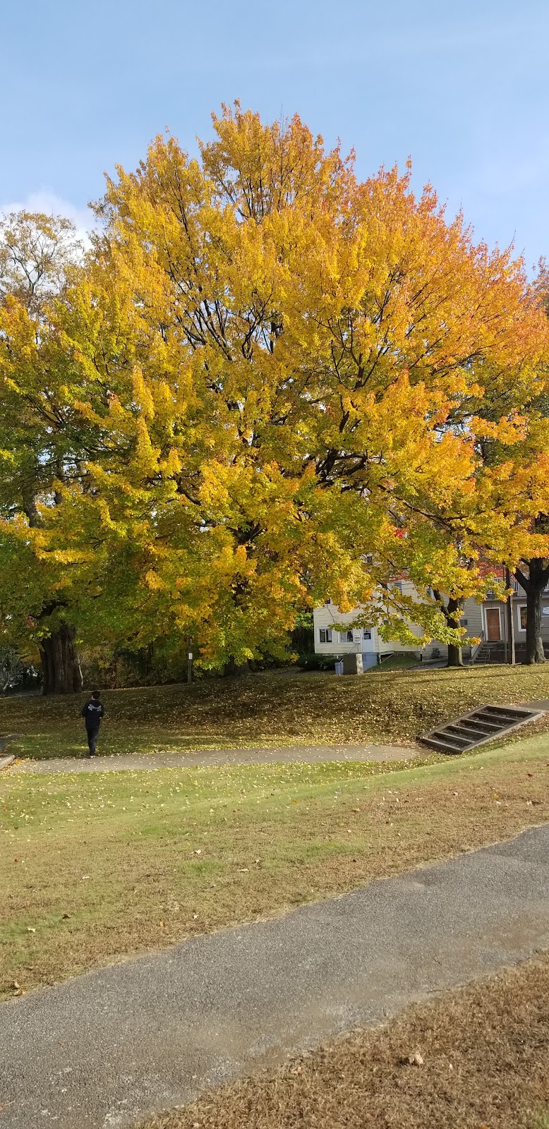 Chase Park - Waterbury, CT