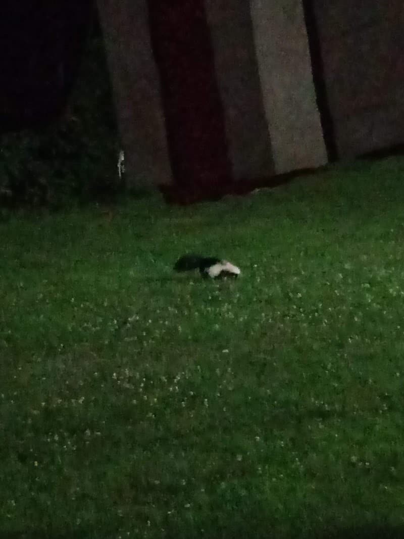 Curtin Park - Waterbury, CT