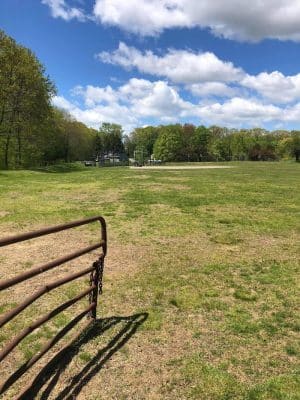 Curtin Park