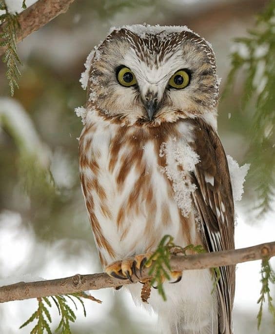 Curtin Park - Waterbury, CT