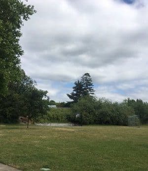 East Mountain park