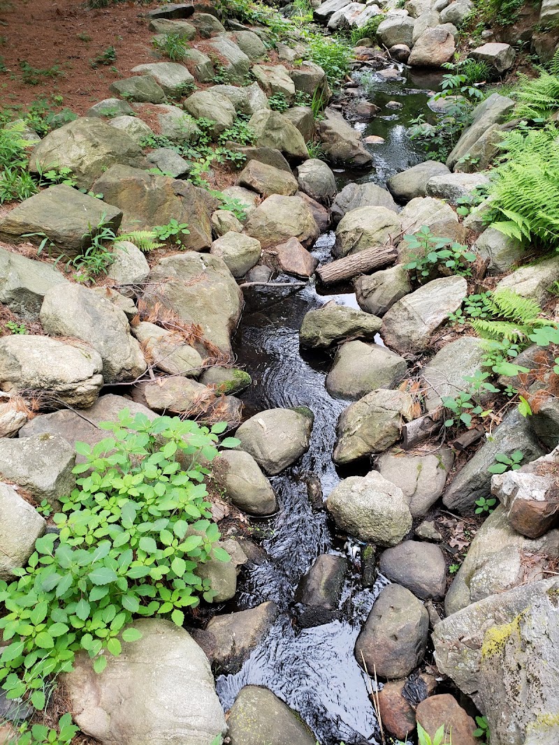 Fulton Park - Waterbury, CT