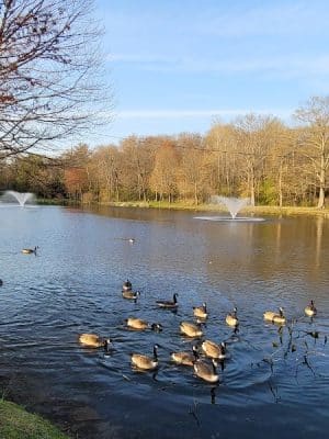 Fulton Park