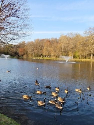 Fulton Park