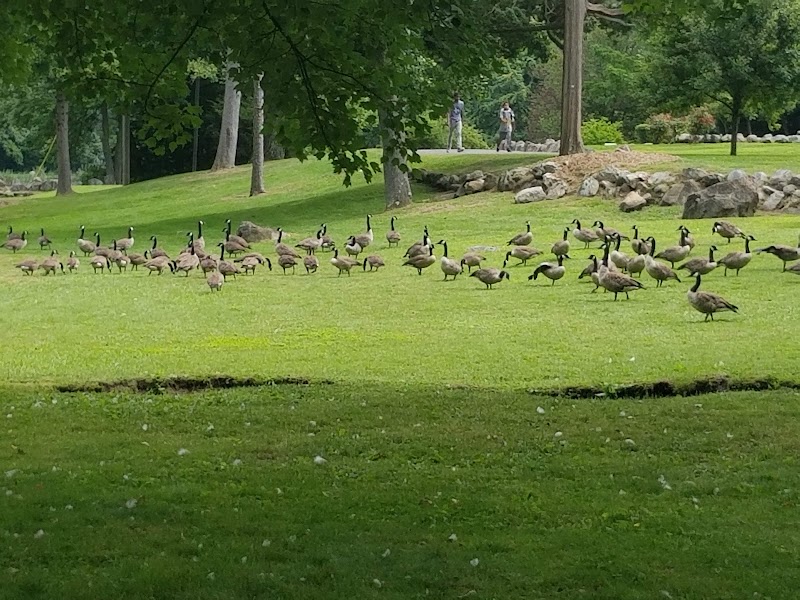 Fulton Park - Waterbury, CT
