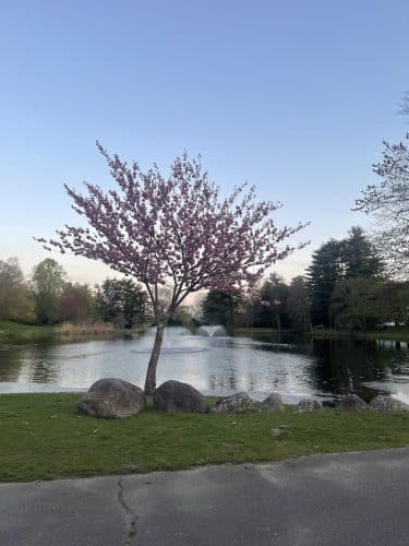 Fulton Park