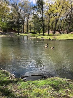 Hamilton Park