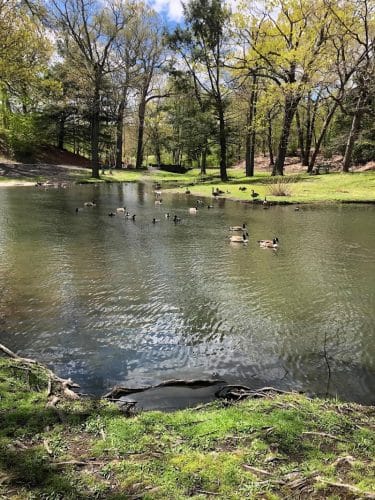 Hamilton Park