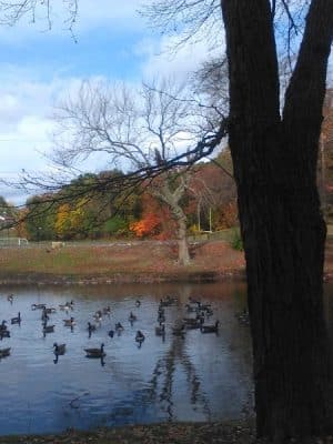 Hamilton Park