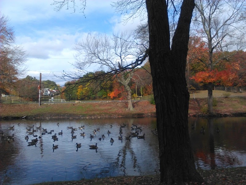 Hamilton Park - Waterbury, CT