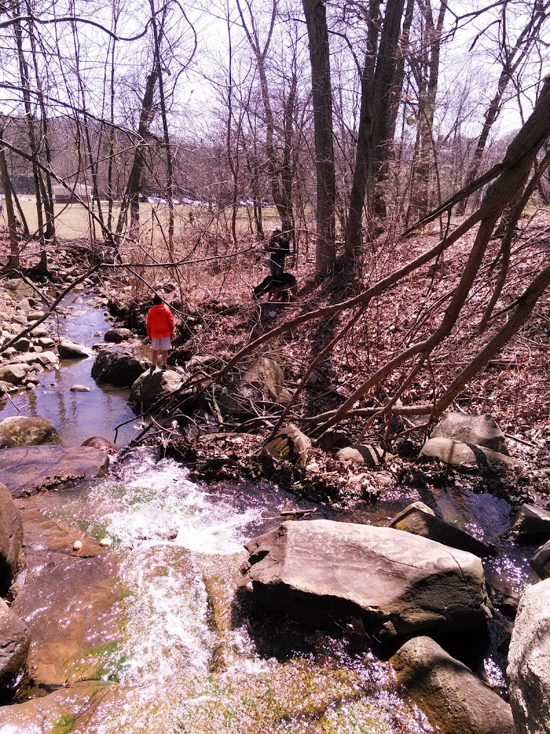 Hamilton Park - Waterbury, CT