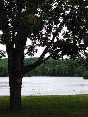 Lakewood Park Beach