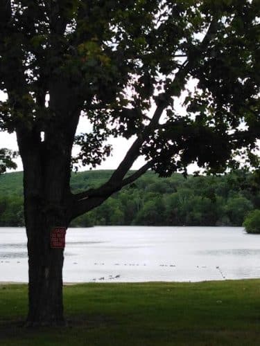 Lakewood Park Beach