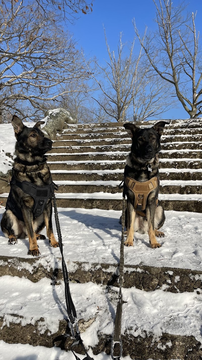 Lakewood Park Beach - Waterbury, CT