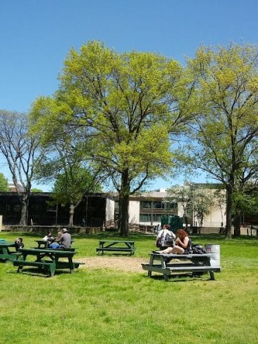 Library Park