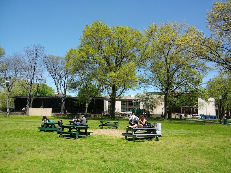 Library Park - Waterbury, CT