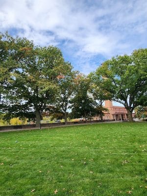 Library Park