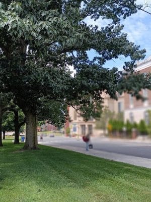 Library Park