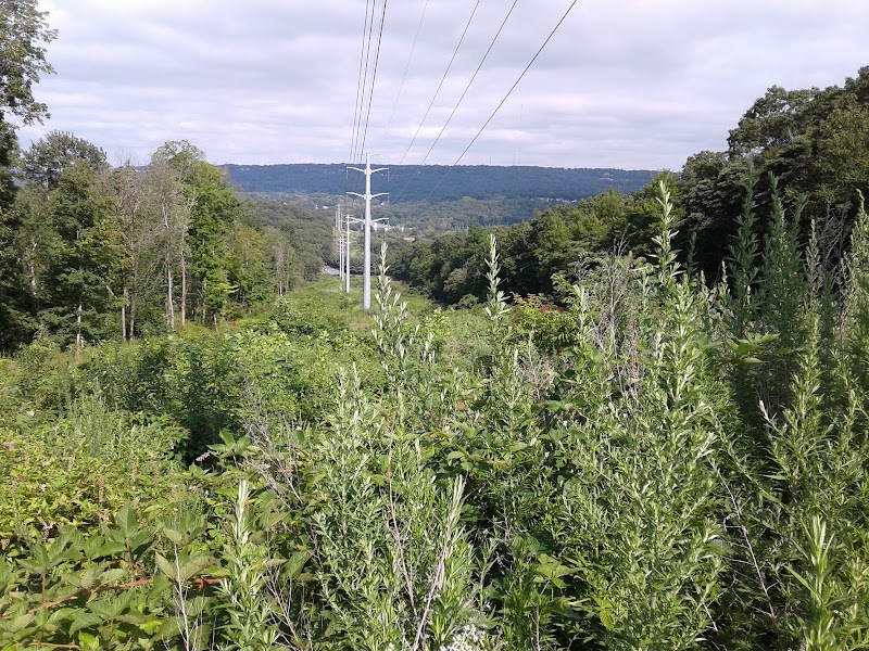 Murray Park - Waterbury, CT