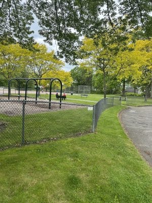 Town Plot