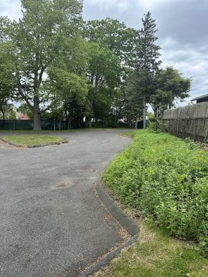 Town Plot