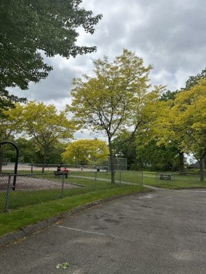 Town Plot
