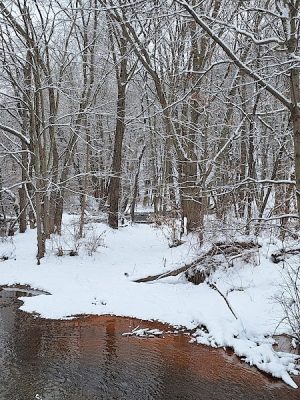 Waterville Park