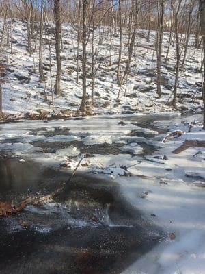 Waterville Park