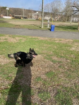 Waterville Park