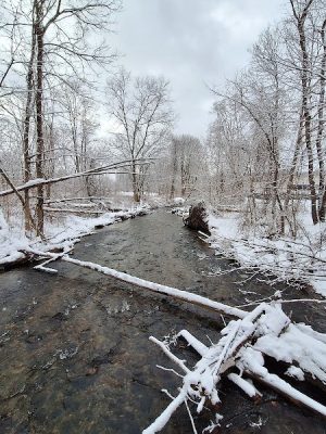 Waterville Park