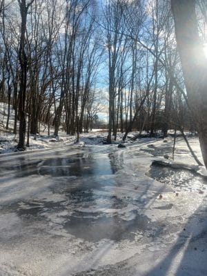 Waterville Park