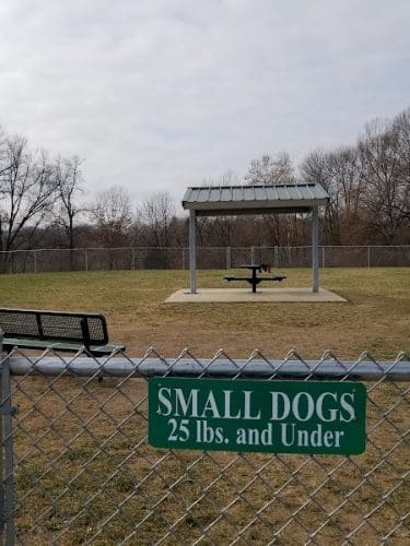 Dog Park