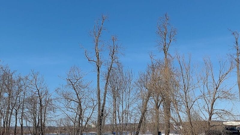 Clinton Park - Watervliet, NY