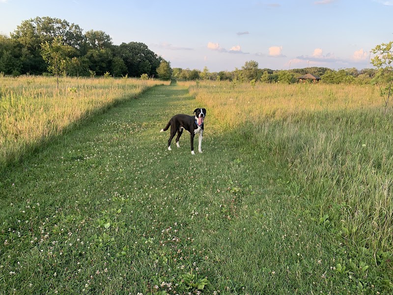 Lakewood Off-Leash Dog Area - Wauconda, IL