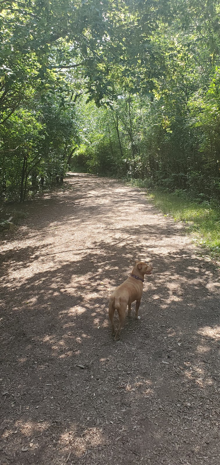 Lakewood Off-Leash Dog Area - Wauconda, IL