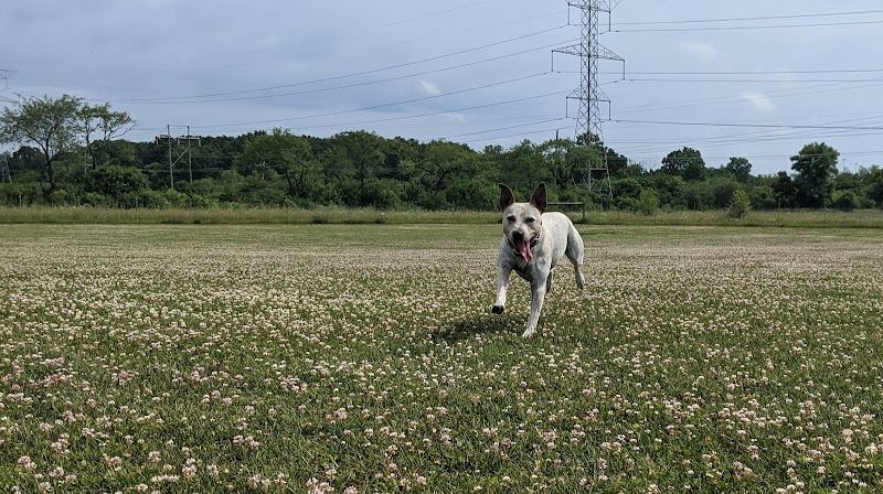 Waukegan Savanna Off-Leash Dog Area - Waukegan, IL