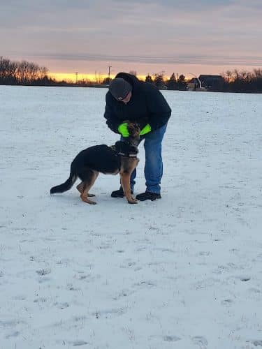Waukegan Savanna Off-Leash Dog Area