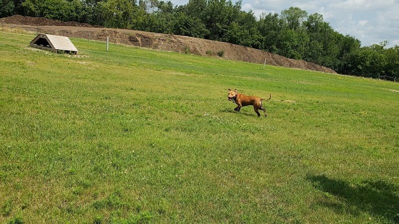 Waupun Dog Park - Waupun, WI