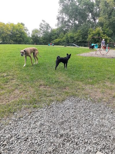 Wausau Two Hearts Dog Park - Wausau, WI