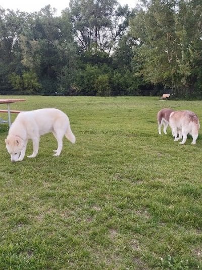 Wausau Two Hearts Dog Park - Wausau, WI