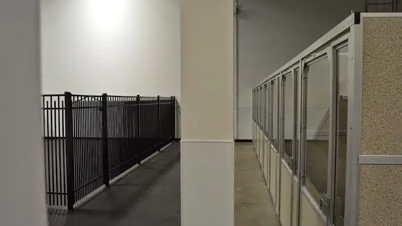 The Madison Dog Resort & Spa - Wayne, NJ
