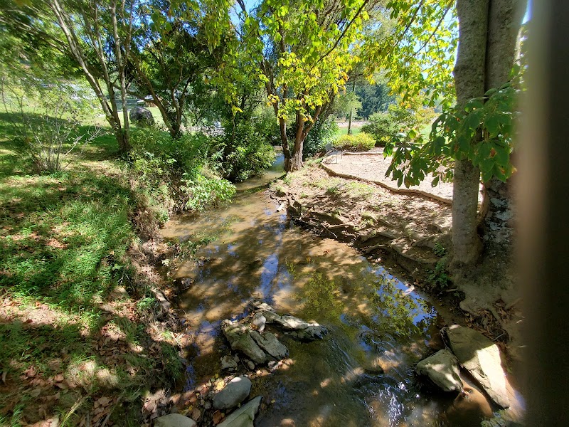 Waynesville Dog Park - Waynesville, NC