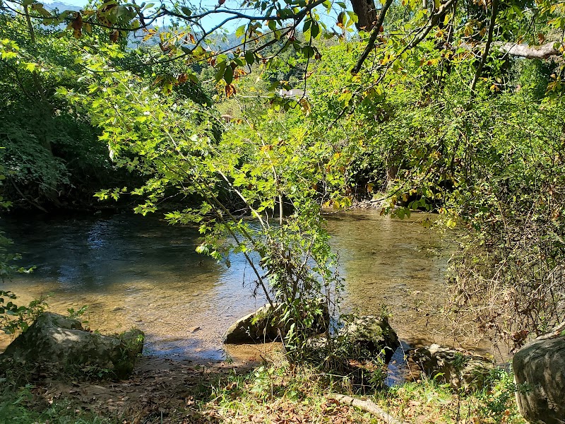Waynesville Dog Park - Waynesville, NC