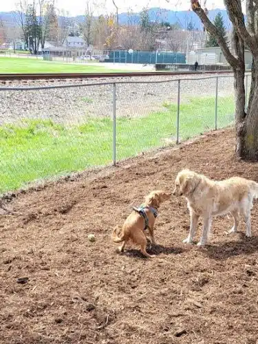 Waynesville Dog Park