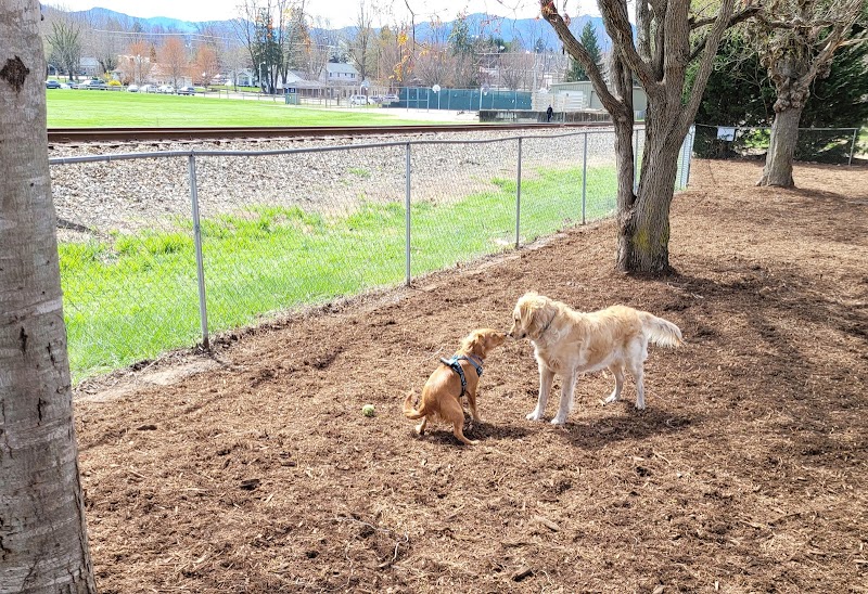Waynesville Dog Park - Waynesville, NC