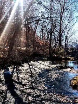 Waynesville Dog Park