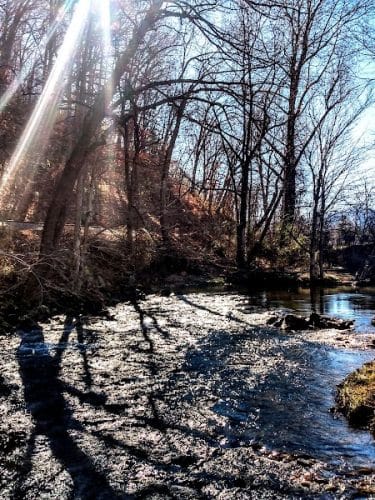 Waynesville Dog Park