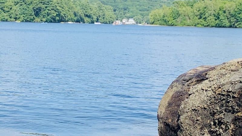 Webster Dog Park - Webster, MA